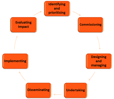Diagram of the Research Cycle